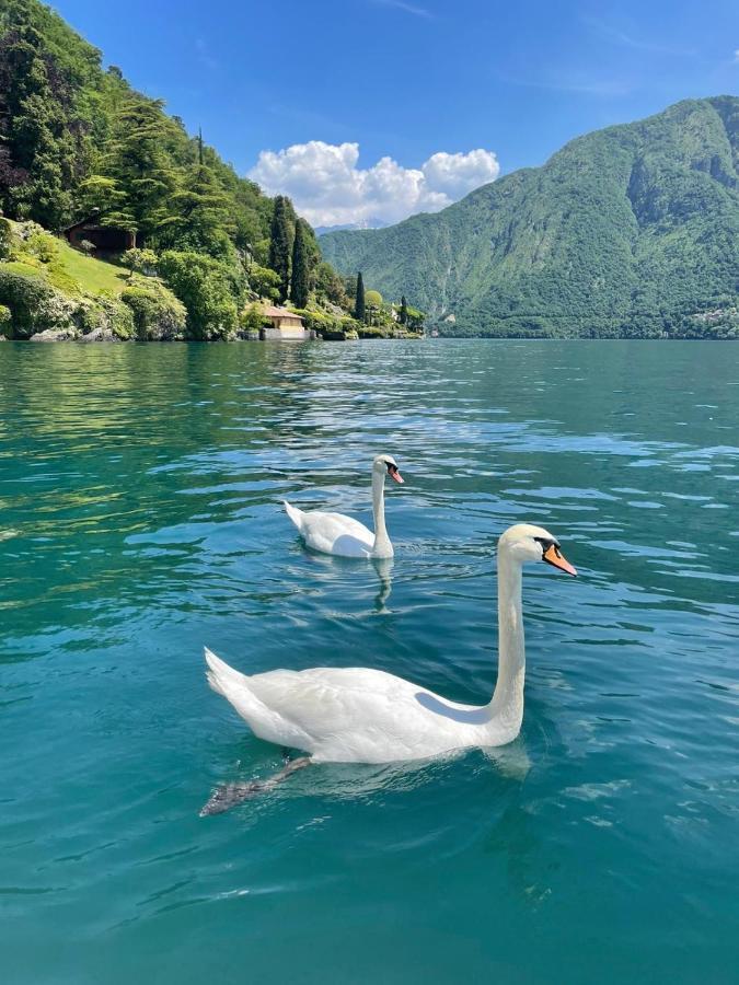 Apartmán Casacamelia 35, 3 Bdrm With View Lake Como Acquaseria Exteriér fotografie